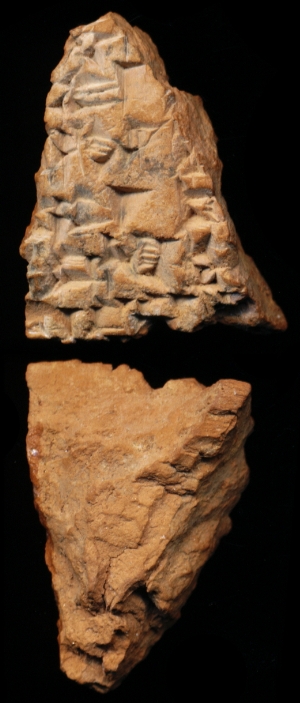 N7110