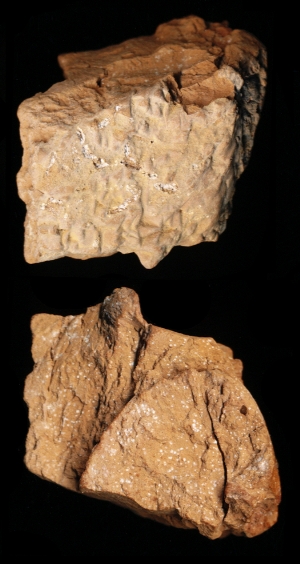N7113