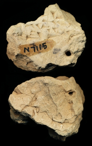 N7115