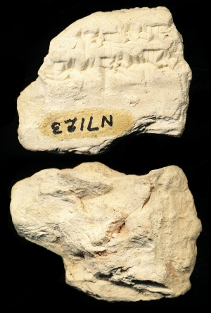 N7123