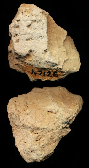 N7126