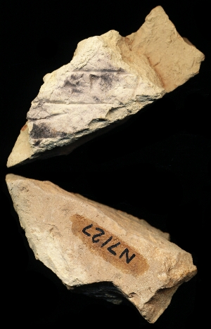 N7127