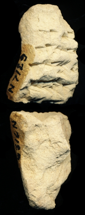 N7129