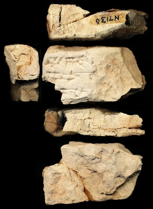 N7130