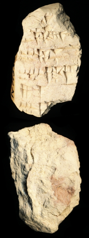 N7131