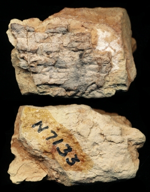 N7133