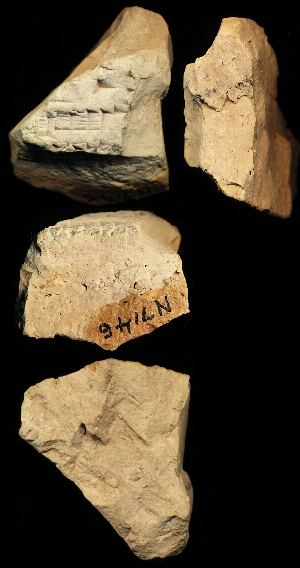 N7146