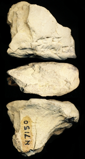 N7150