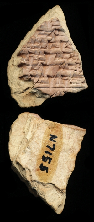N7155