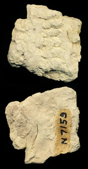 N7159