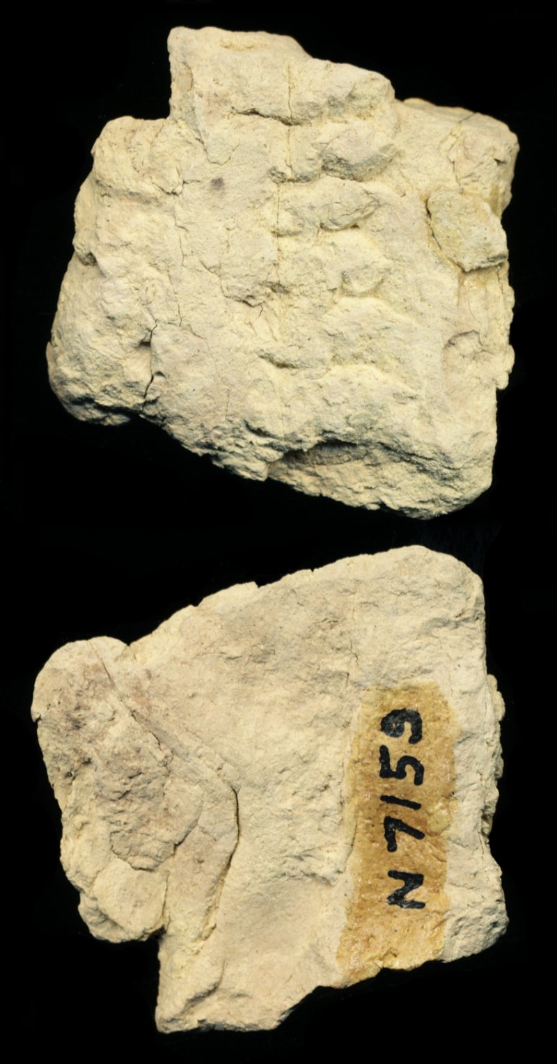 810025