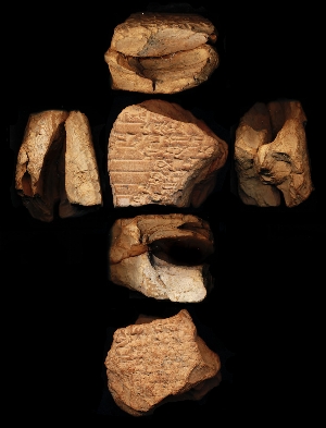 N7164