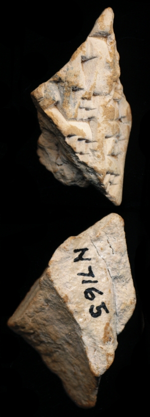 N7165