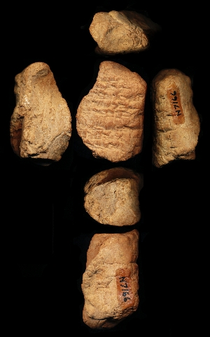 N7166