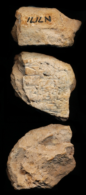 N7171