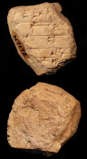 N7172