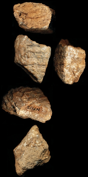 N7173