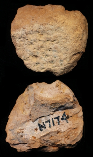 N7174