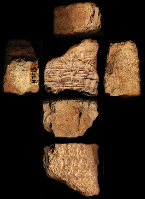 N7175