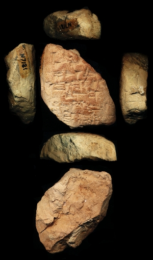 N7181