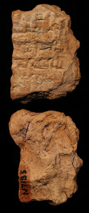 N7185