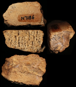 N7186