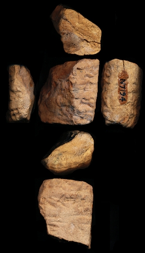 N7194