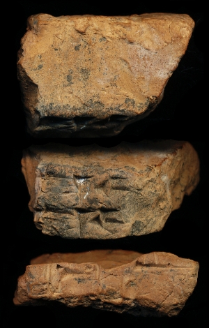 N7195