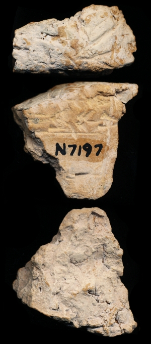 N7197