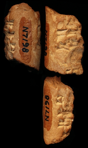 N7198