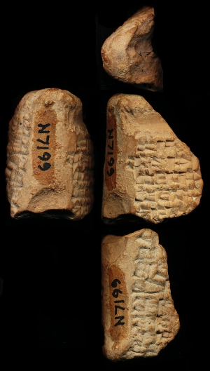 N7199