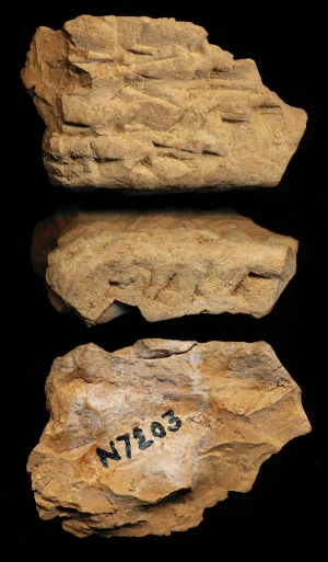 N7203