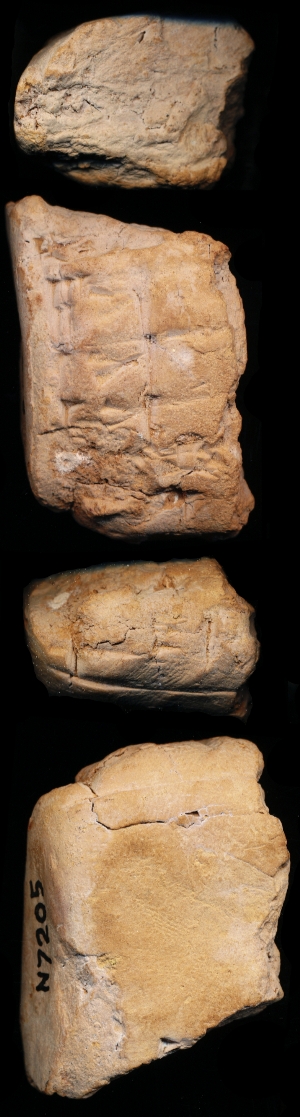 N7205