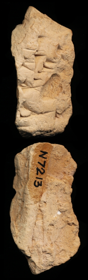 N7213