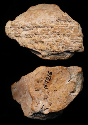 N7216