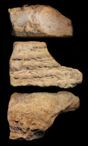 N7219
