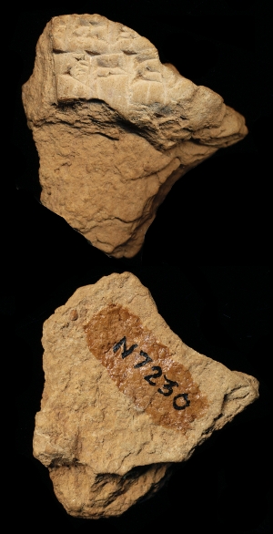N7230