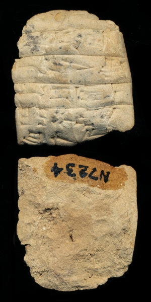 N7234