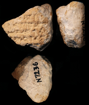 N7236