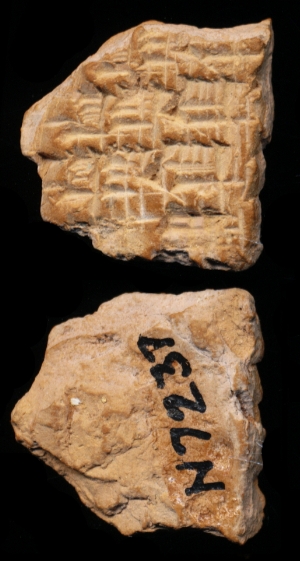 N7237