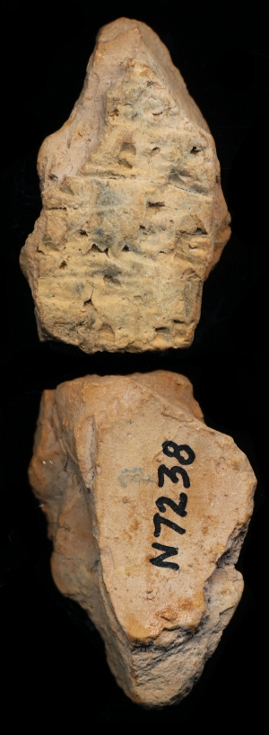 N7238