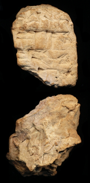 N7240