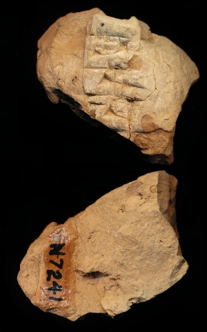 N7241