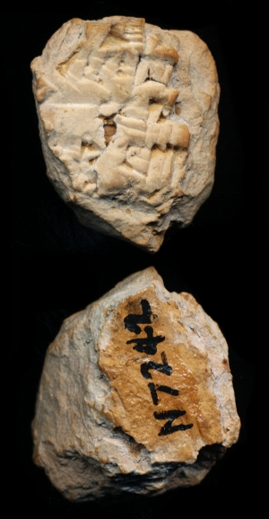 N7242