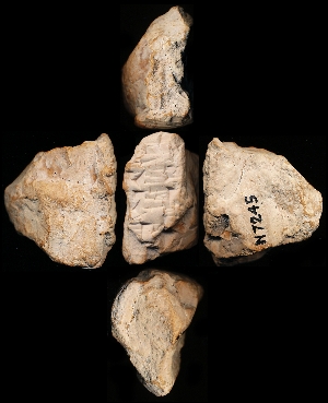 N7245