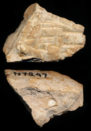 N7247