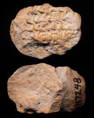 N7248