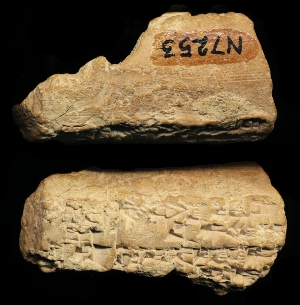 N7253