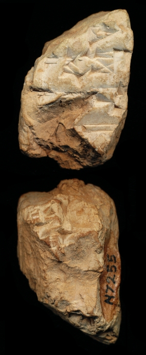 N7255