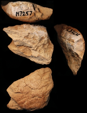 N7257